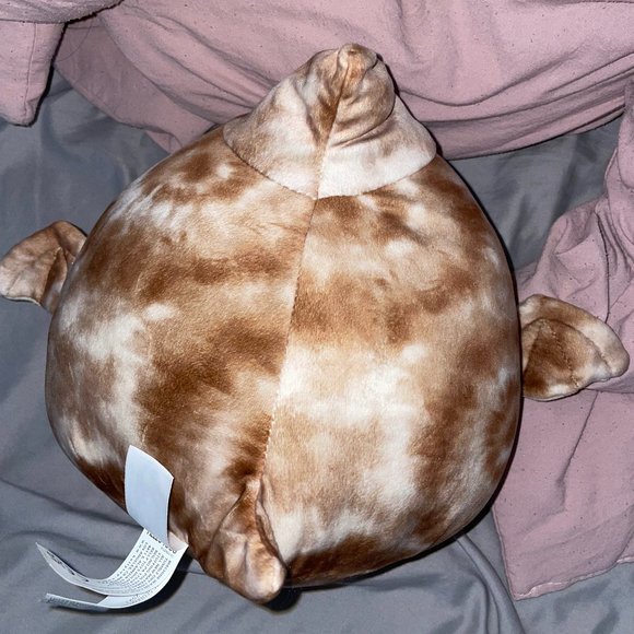 Squishmallow 8 Inch Edmund & Rocio Bundle - Picture 5 of 5